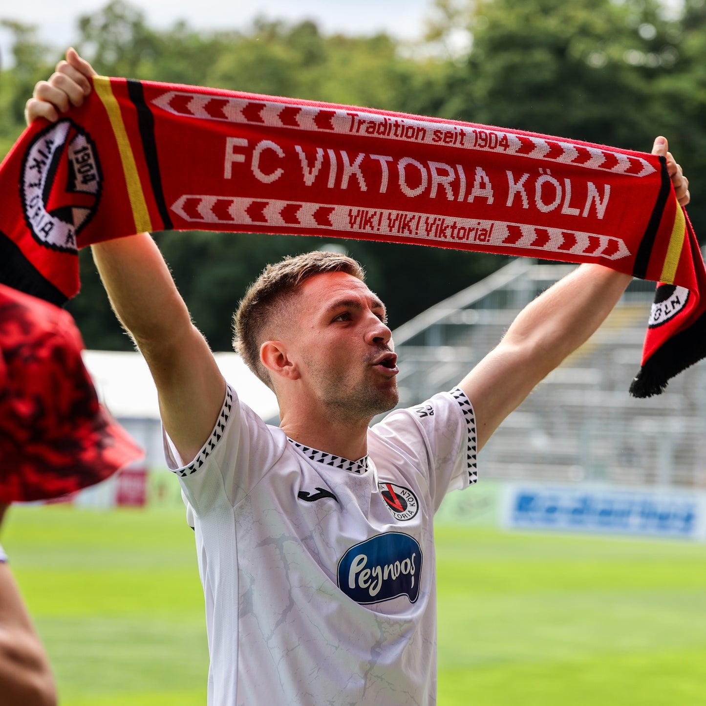 Schal Vik! Vik! Viktoria! - Offizieller Fanshop Viktoria Köln