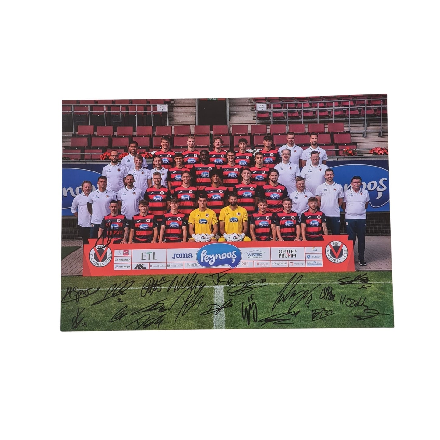 Mannschaftsposter - Offizieller Fanshop Viktoria Köln